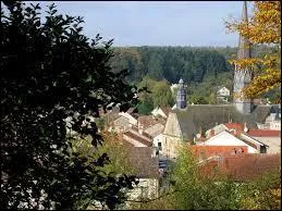 Village champardennais, en Argonne, Vienne-le-Château se situe dans le département ...