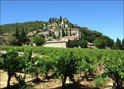 La Roque-sur-Cèze est un superbe village du Gard qui veille sur la rivière et les vignes, à quelle foire pourrez-vous y assister le 15 août ?