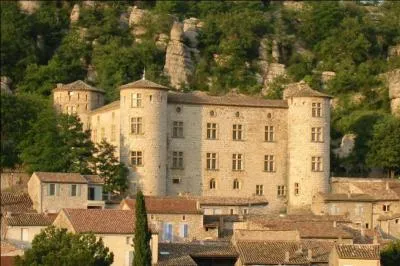 A Vogüe, superbe village de l'Ardèche vous pourrez admirer l'une des plus étroite rue de France, quel est son nom ?
