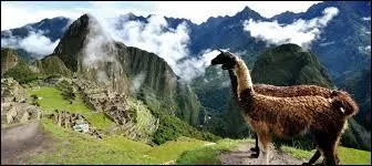 Parmi ces pays, laquelle ne se trouve pas en Am&eacute;rique du Sud ?