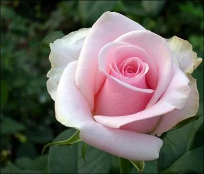 "Frire". Quand cette lettre s'envole, vous pouvez vous éclater !