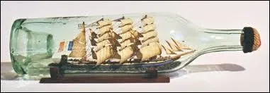 Un botumodélophile collectionne :