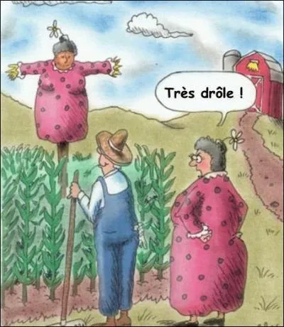 Quel est le bon pluriel de 'épouvantail' ?