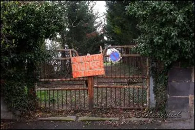 Quel est le bon pluriel de 'portail' ?