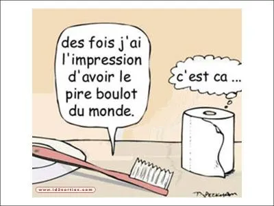 Quel est le bon pluriel de 'émail' ?