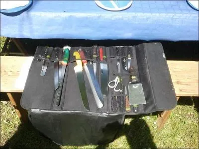 Quel est le bon pluriel de 'attirail' ?