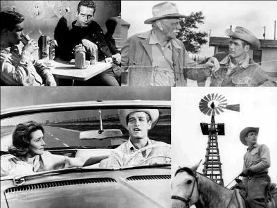 C'est un western américain de 1963, il a été réalisé par Martin Ritt.
Paul Newman, Melvyn Douglas, Patricia Neal font partie de la distribution. 
Un jeune mène une vie dissolue, au contraire des valeurs de son père. En plus, une épidémie ravage leur troupeau. Le père doit agir pour remettre dans le droit chemin son fils ! 
Quel est ce film ?