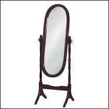 Comment appelle-t-on le miroir présent sur la photo ?