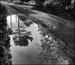 Qui chante "Les Miroirs dans la boue" dans les années 80 ?