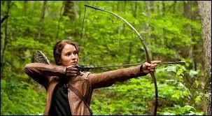 On ne dit plus ''J'ai plus d'une corde à mon arc.'' mais...