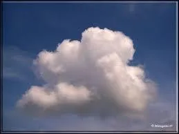 Et celui-ci , quel est son nom ? Indice - Ce sont des nuages de beau temps