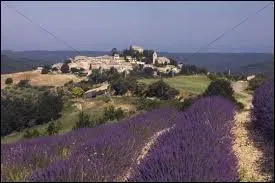 Derrière ces champs de lavande, vous avez le village Bas-Alpin d'Entrevennes. Il se situe en région ...