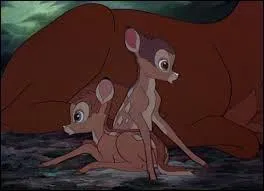 Comment se nomment les jumeaux de Bambi et Féline ?
