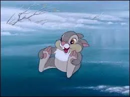 Panpan, le meilleur ami de Bambi, a cinq surs.