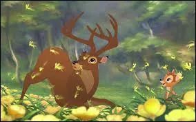 Quelle qualité désigne le mieux le père du jeune prince ?