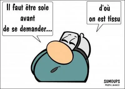 Nouvelle question : "Quel est ce pécher capital ?"