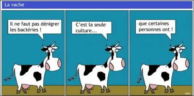 Quiz Histoire : "L'empire de Napoléon s'écroule comment ?"