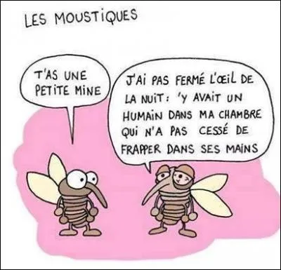Quiz nature : "Le moustique peut transmettre une maladie à l'homme, laquel ?