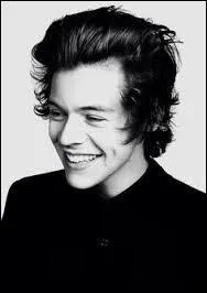 Quelle est la couleur préférée de Harry Styles ?