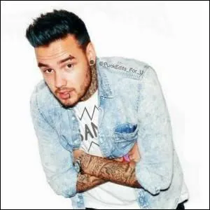 Quel est le plat préféré de Liam Payne ?