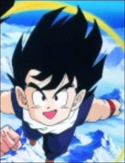 Dans le film "Dragon Ball Z  : Le Robot des Glaces", avec qui Gohan part-il chercher les Dragon Balls ?