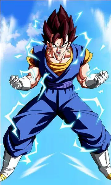 Pour un Kaio Shin, combien de temps dure une fusion avec les potalas ?