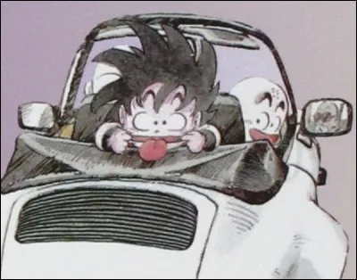 Comment s'appelle le 6e livre de "Dragon Ball" ?