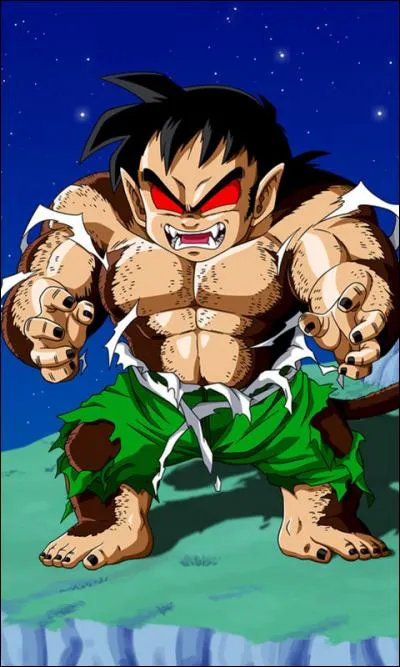 Qu'est-ce qu'il y avait sur le chapeau de Gohan quand il le portait ?