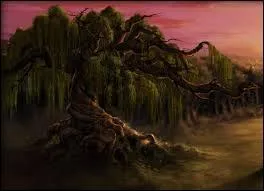 Quel était le nom de l'élève qui avait failli perdre un œil à cause du Saule Cogneur ?