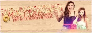 Que veut dire "PPP" dans certaines vidéos de MissCreatives ?