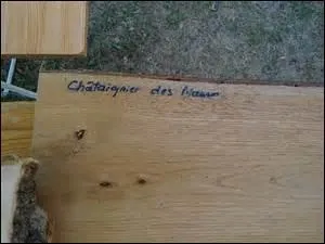 Qu'appelle-t-on bois de fil ?