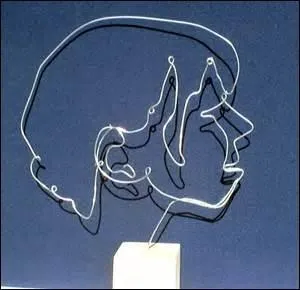 Comme vous êtes rusé, vous avez répondu aisément, avec acuité parce que vous -----.