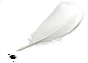 Moi, je n'ai aucun souci de style si bien que je rédige les quiz ----.