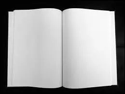 Où sont nés les livres blancs ?