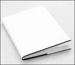 Qui a écrit le roman « Blanc » ?