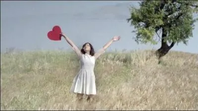 Quel est le titre de ce clip ?