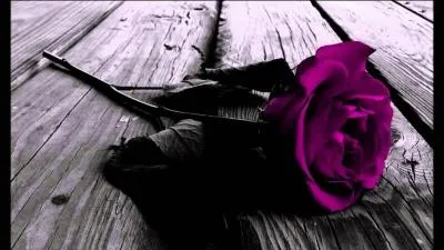 Quelle chanson de Indila cette rose représente-t-elle ?