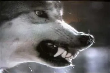 Retrouvez les paroles d'une chanson !