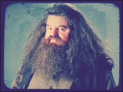 Pour quelle raison les Veracrasses d'Hagrid sont-ils morts ?