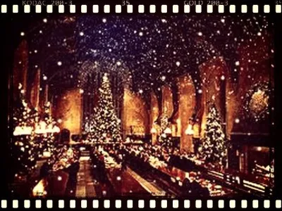 Combien de sapins étaient dressés dans la Grande Salle pour le réveillon de Noël ?