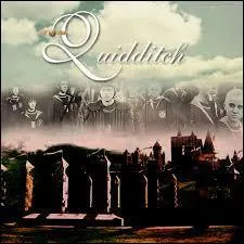 Dans ce chapitre, le match de Quidditch 'Gryffondor contre Serdaigle' devrait avoir lieu en :