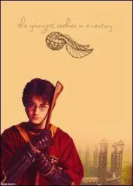 Pendant combien de temps Harry n'a-t-il pas revu son balai ?