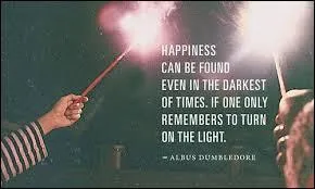 Le premier ayant échoué, quel a été le deuxième souvenir ?