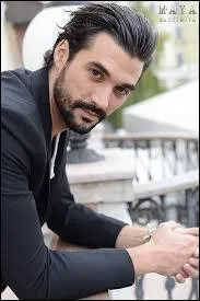 Qui interprète "L'Assasymphonie" dans le spectacle "Mozart, l'opéra rock" ?