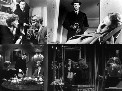 C'est un film dramatique britannique de 1963, il a été réalisé par Joseph Losey.
Dirk Bogarde, Sarah Miles, Wendy Craig, James Fox font partie de la distribution. 
Un domestique est embauché par un jeune noble. Avec sa maîtresse, il domine le jeune noble au grand dam de sa soeur
Quel est ce film ?