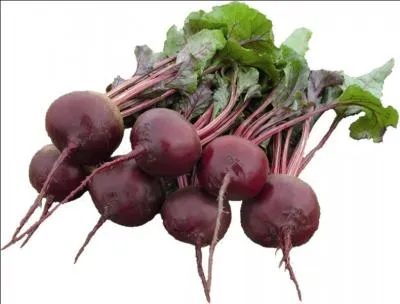 De quels légumes s'agit-il ?