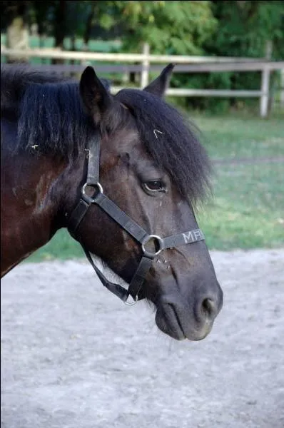 Comment s'appelle cette coquine ?