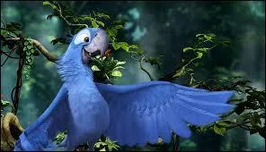 Au début du film d'animation « Rio 1 », quelle est la particularité de Blu par rapport aux autres oiseaux de son espèce ?