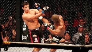 Qui remporta la rencontre opposant Rashad Evans à Lyoto Machida ?