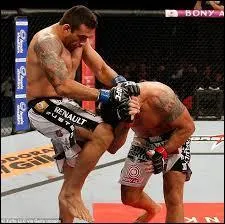 Qui remporta la rencontre opposant Fabricio Werdum à Antonio Rodrigo Nogueira ?